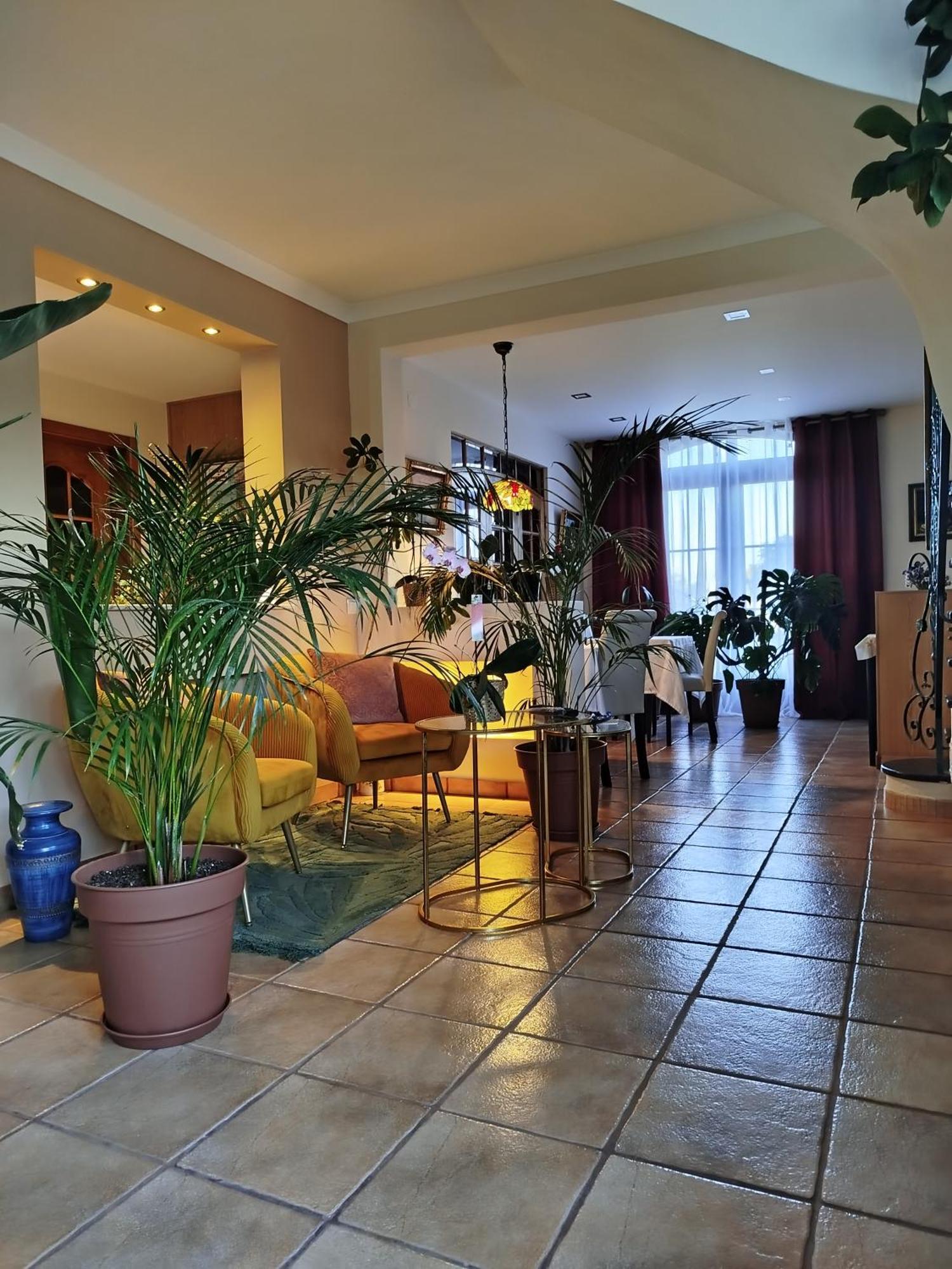 Hotel Elodie'S Country House - Alojamento Local Grândola Exteriér fotografie